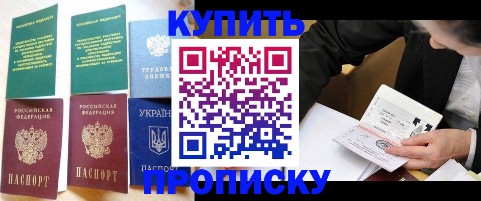 прописка для школы в Мамадыше